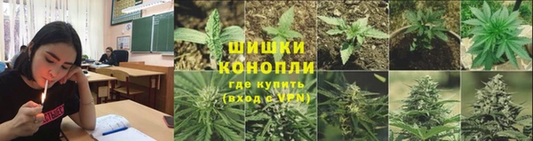 бошки Лагань
