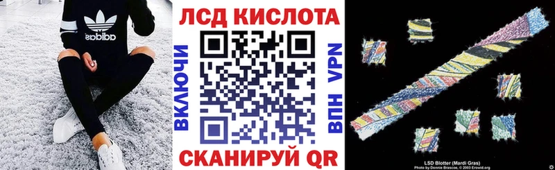 ссылка на мегу как войти Тогучин Наркотические марки 1500мкг продажа наркотиков